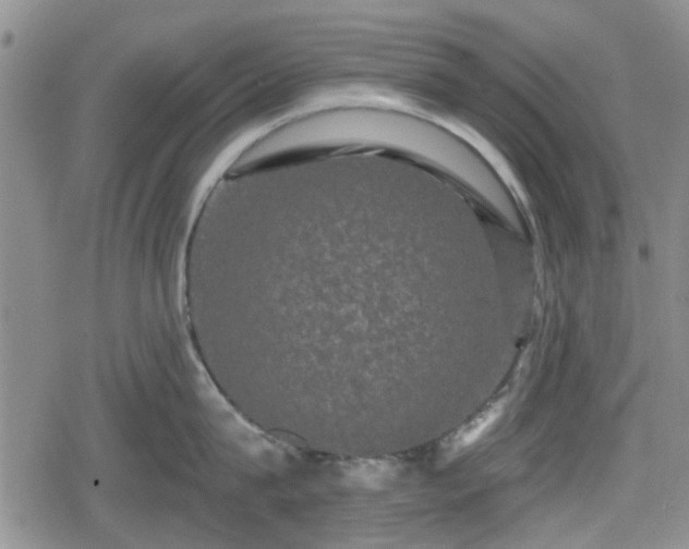 X0000080690815200612221051