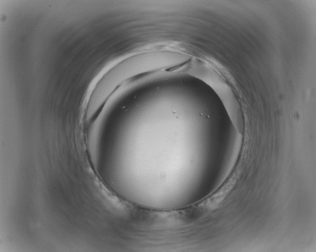 X0000080690816200612221051