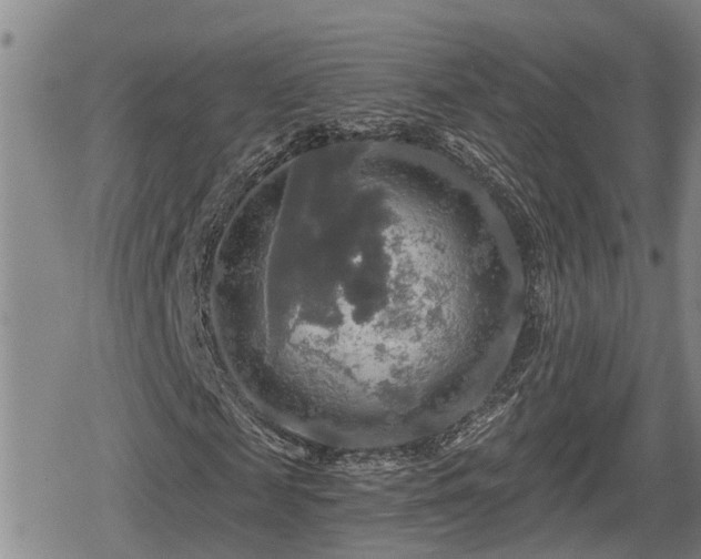 X0000080690817200612221050