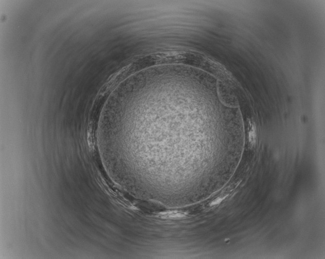 X0000080690819200612221050