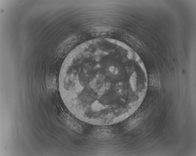 X0000080690820200612221050