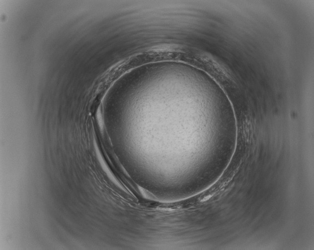 X0000080690821200612221050