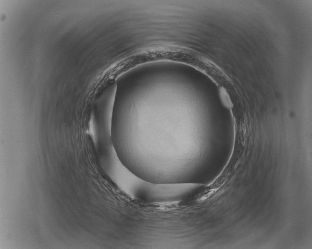 X0000080690822200612221050