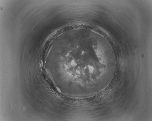 X0000080690823200612221050