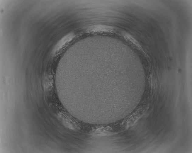 X0000080690824200612221050