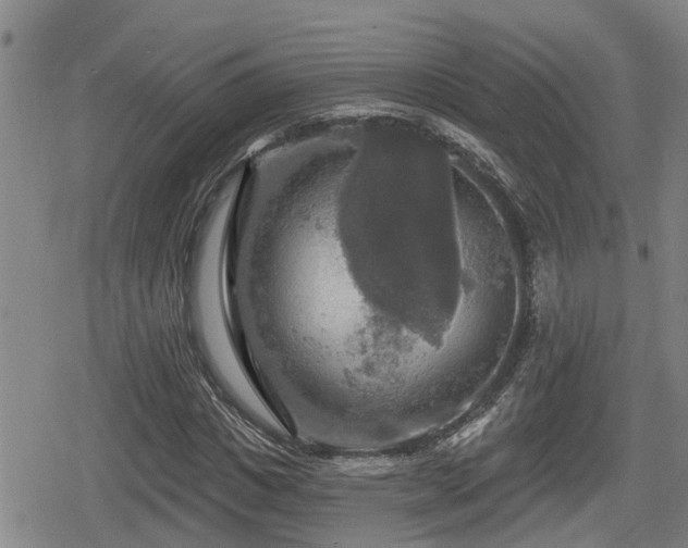 X0000080690825200612221050