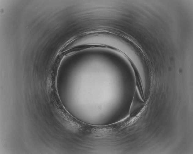 X0000080690826200612221050