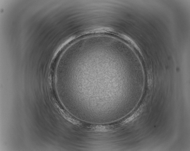 X0000080690827200612221050