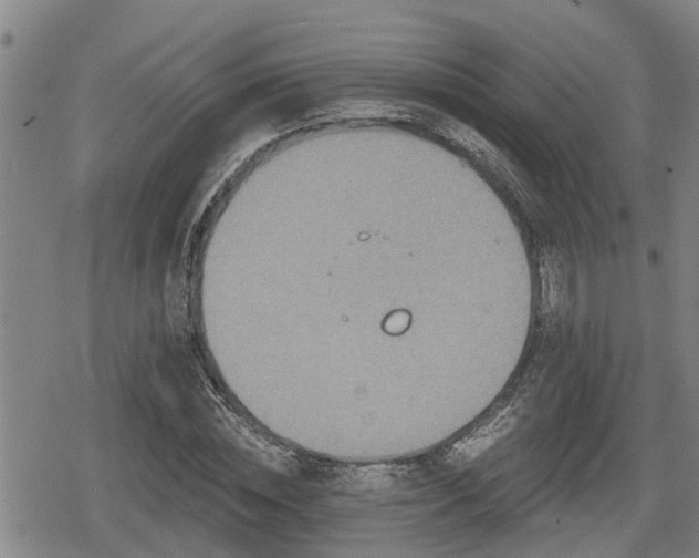 X0000080690828200612221050