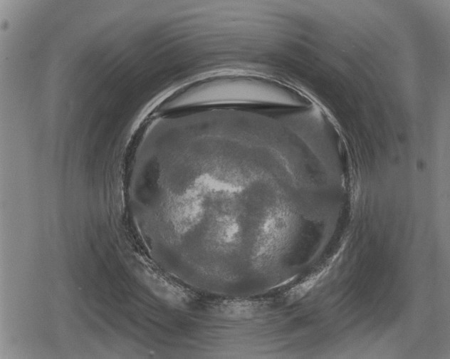 X0000080690829200612221050