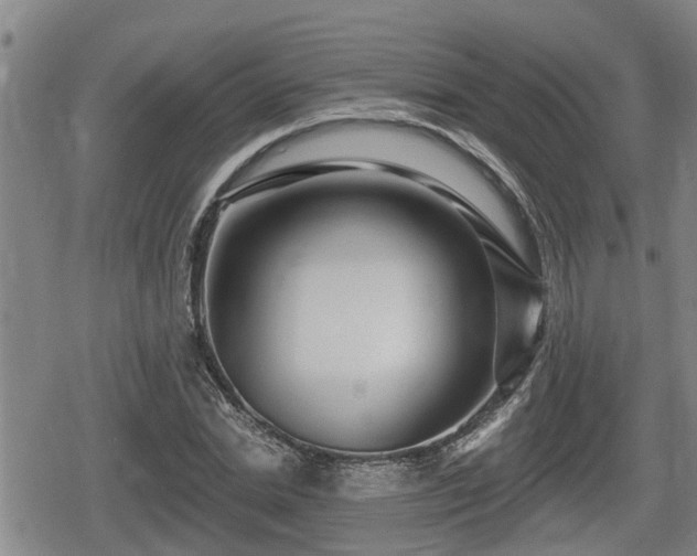 X0000080690830200612221050