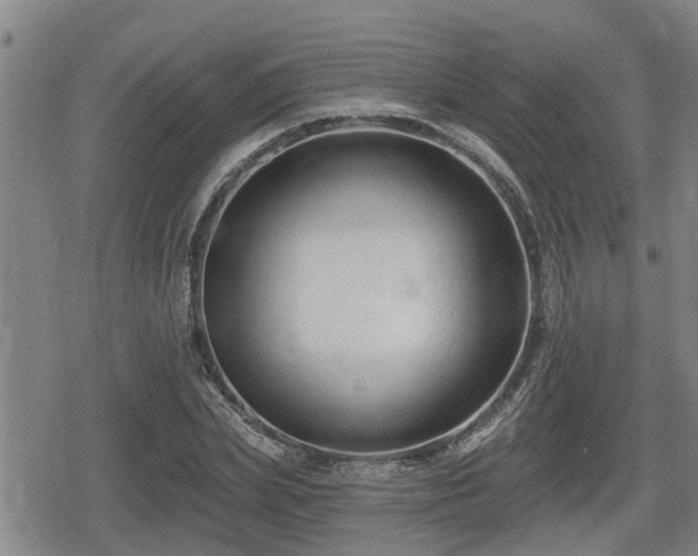 X0000080690831200612221050