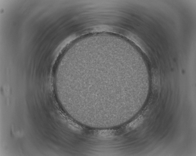 X0000080690832200612221050