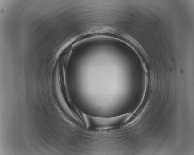 X0000080690834200612221050