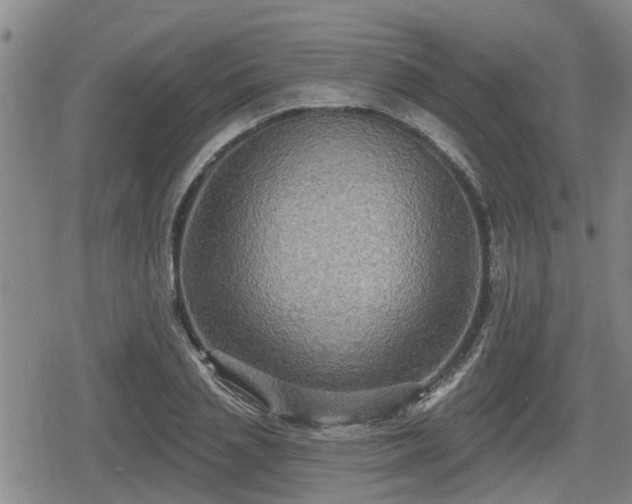 X0000080690837200612221050