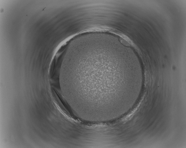 X0000080690838200612221050