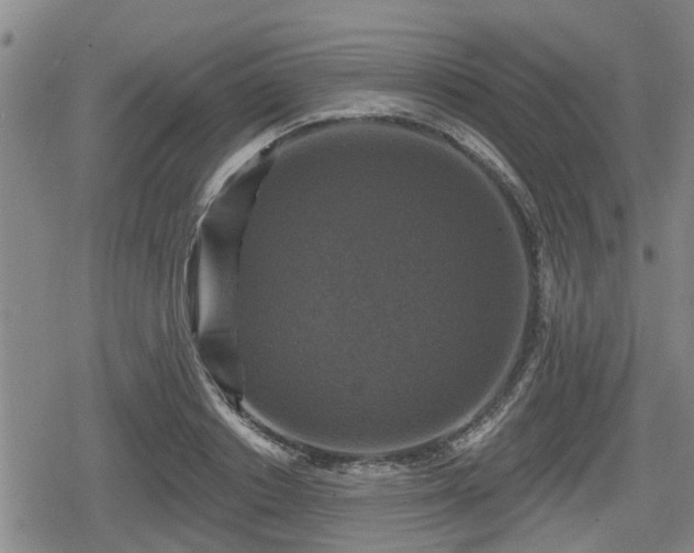 X0000080690842200612221050