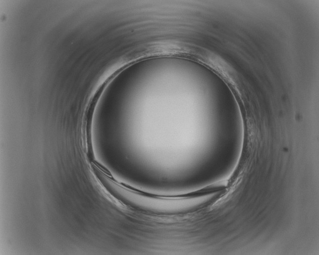 X0000080690843200612221051