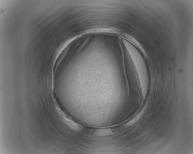 X0000080690844200612221051