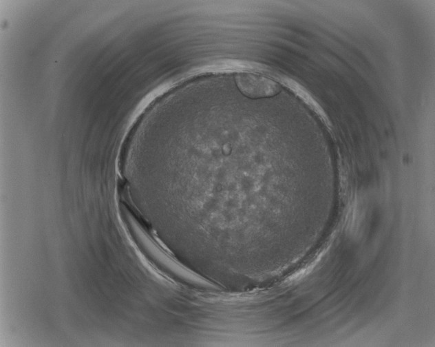 X0000080690845200612221051