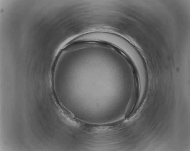 X0000080690846200612221051