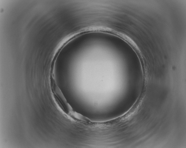 X0000080690847200612221051