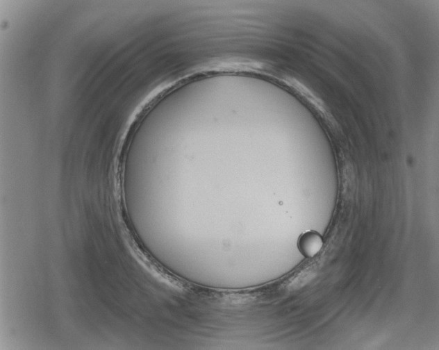 X0000080690848200612221051