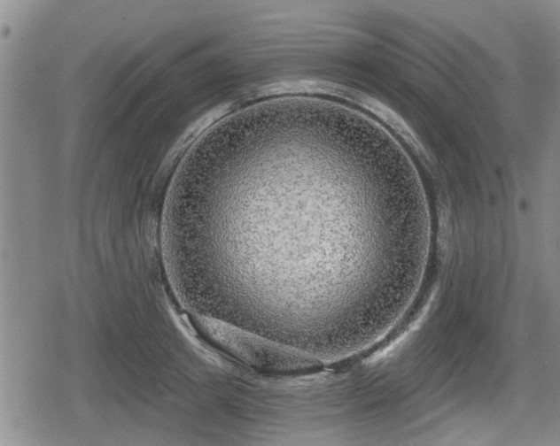 X0000080690849200612221051