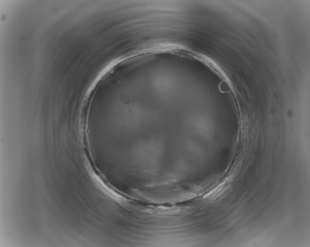 X0000080690851200612221051