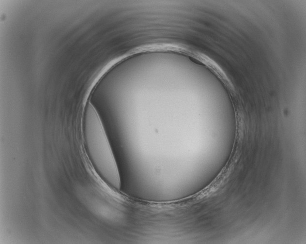 X0000080690852200612221051