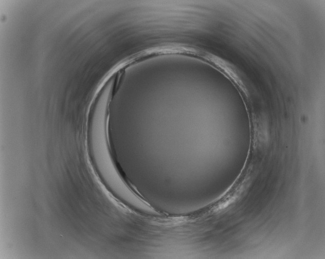 X0000080690853200612221051