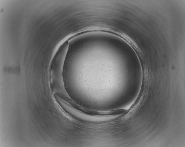 X0000080690854200612221051