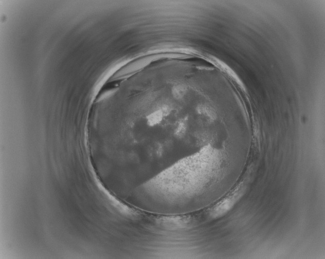 X0000080690855200612221051