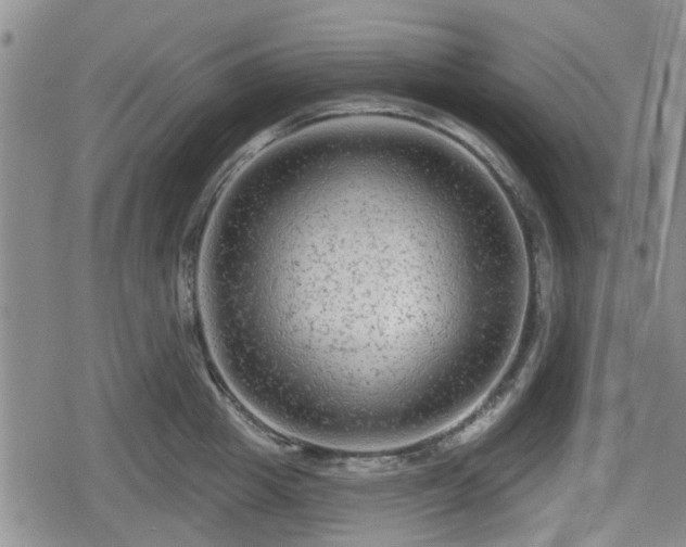 X0000080690857200612221051