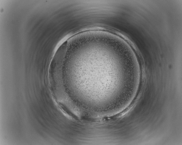 X0000080690858200612221051