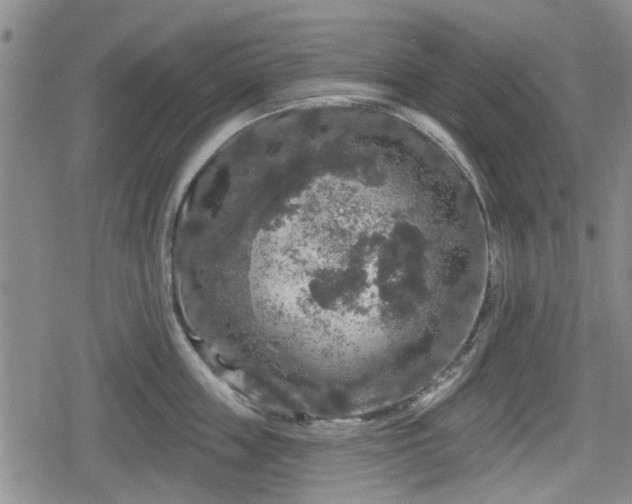 X0000080690859200612221051