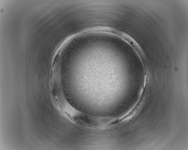 X0000080690860200612221051