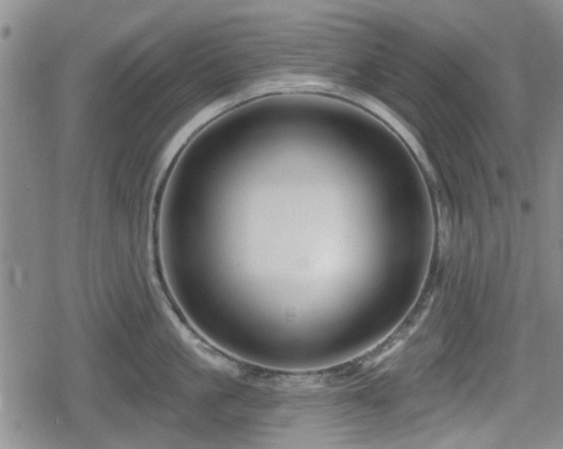 X0000080690861200612221051