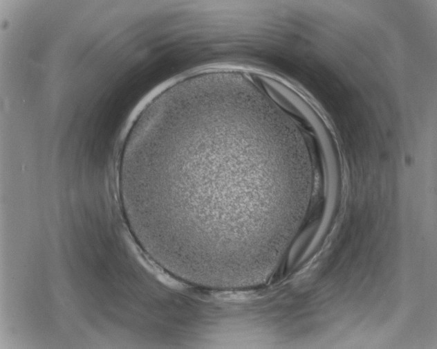 X0000080690862200612221051