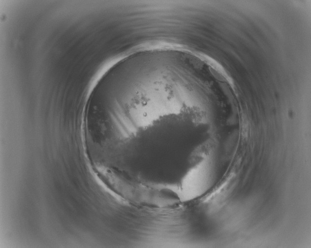 X0000080690863200612221051