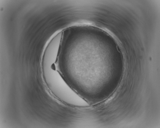 X0000080690864200612221051