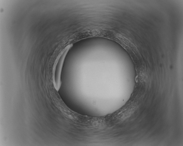 X0000080690865200612221050