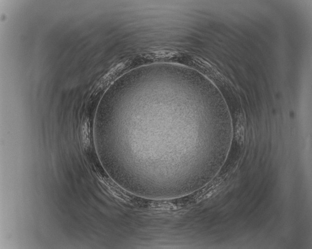 X0000080690866200612221050