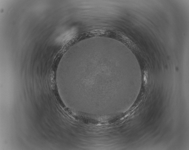 X0000080690867200612221050