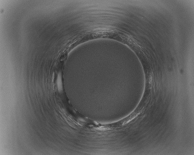 X0000080690868200612221050