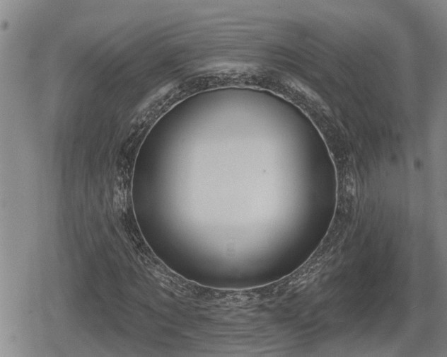 X0000080690869200612221050