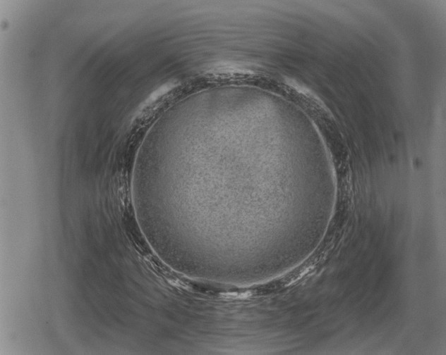 X0000080690870200612221050