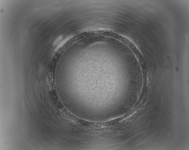 X0000080690871200612221050