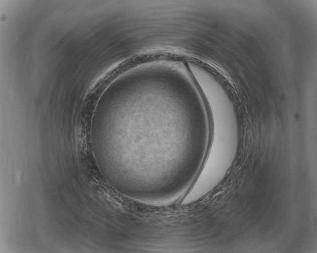 X0000080690872200612221050