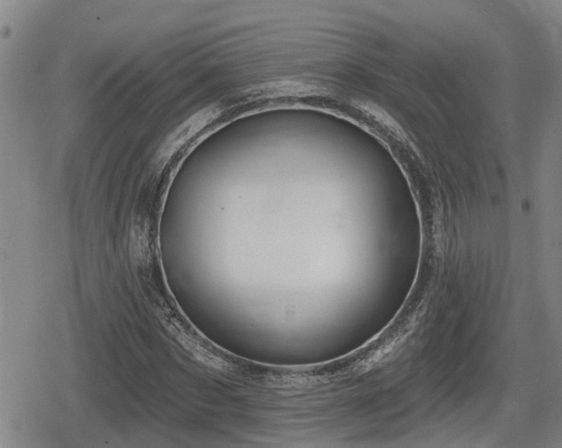 X0000080690873200612221050